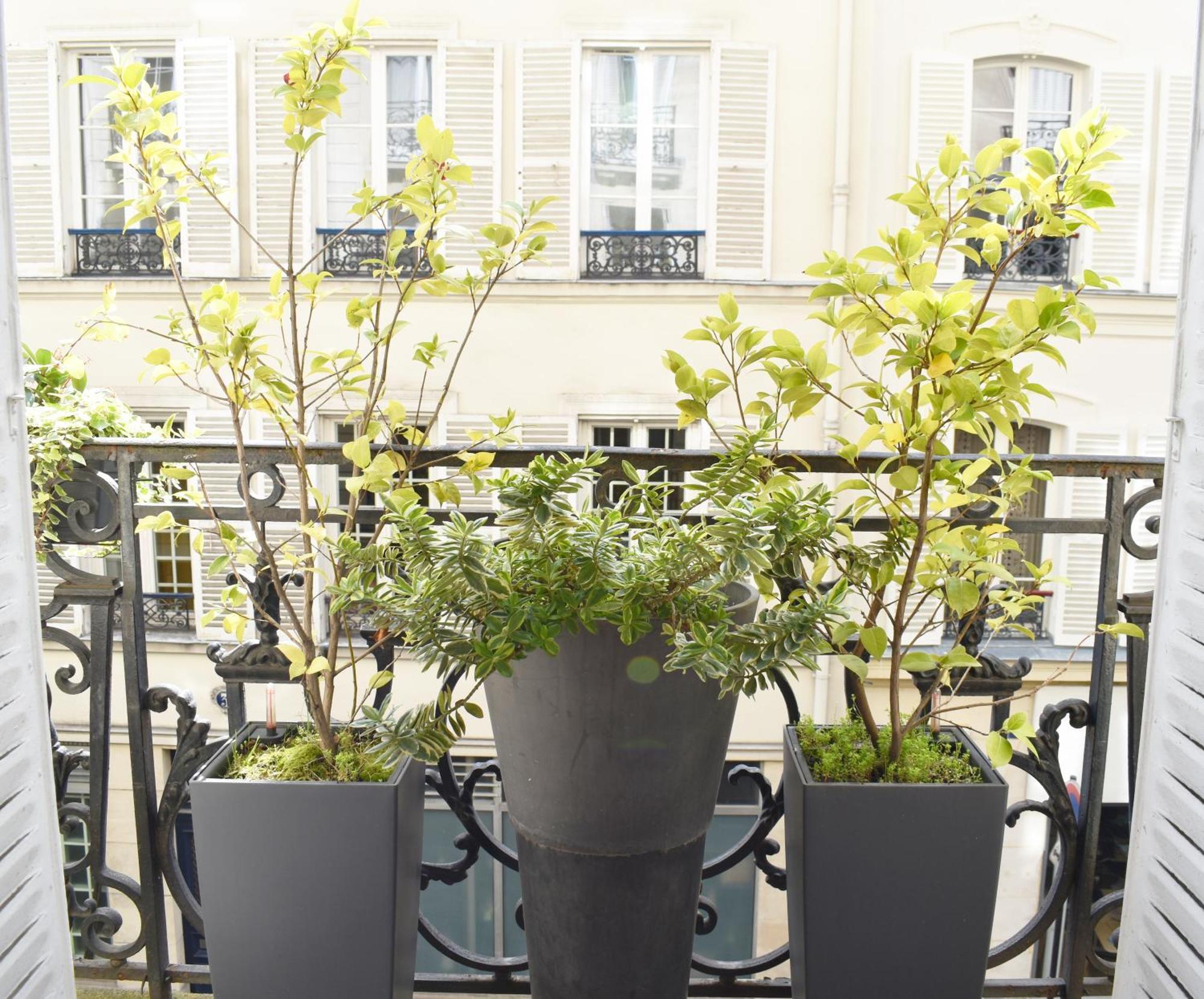 Montmartre